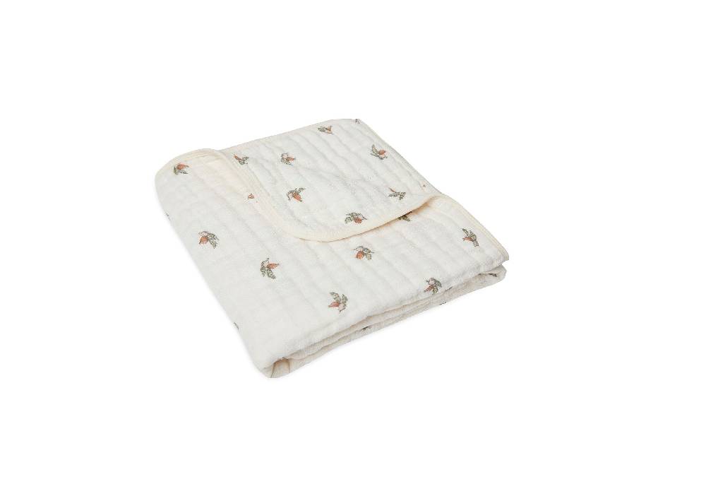 Jollein Decke Wiege Hydrophil 75x100cm Rosehip Rabatte dieses Monats