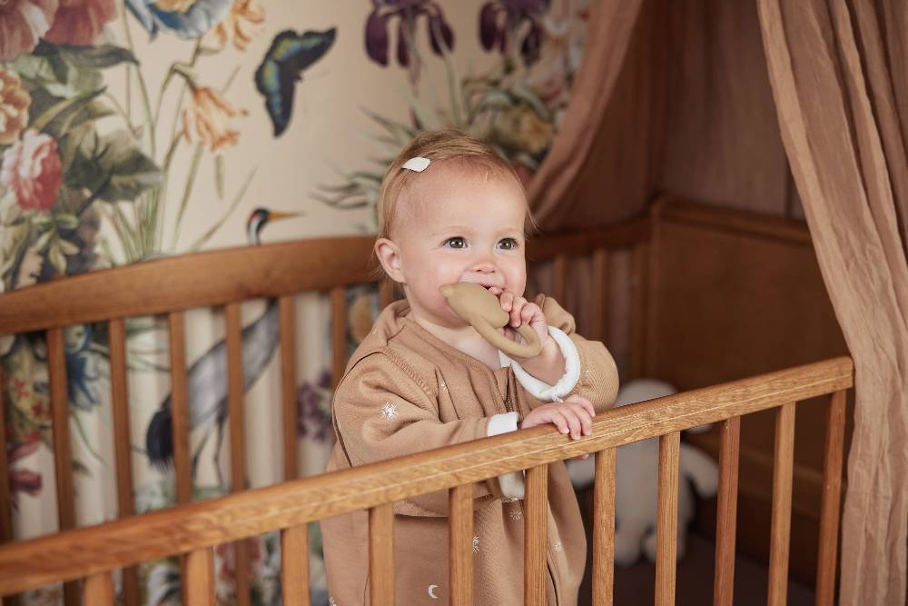 Jollein Beißring Naturkautschuk Teddy Bear Biscuit Neueste Stile