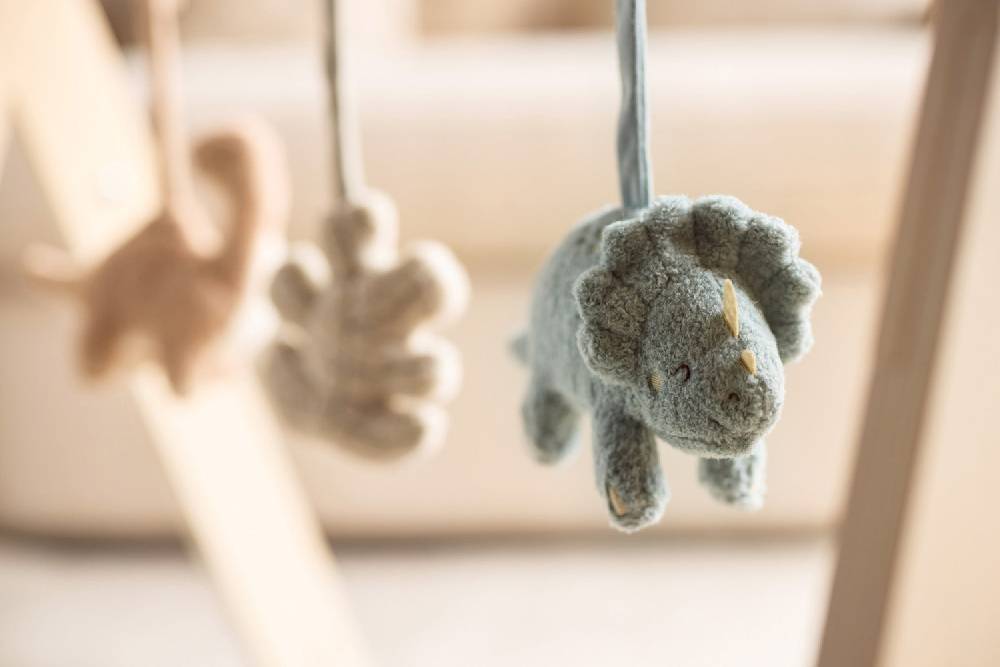 Jollein Spieltrapez Baby Spielsachen - Roarsome zollfrei