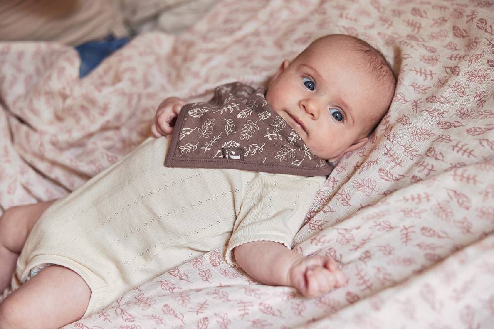 Jollein Lätzchen Bandana Meadow Chestnut (2pack) Heißer Verkauf