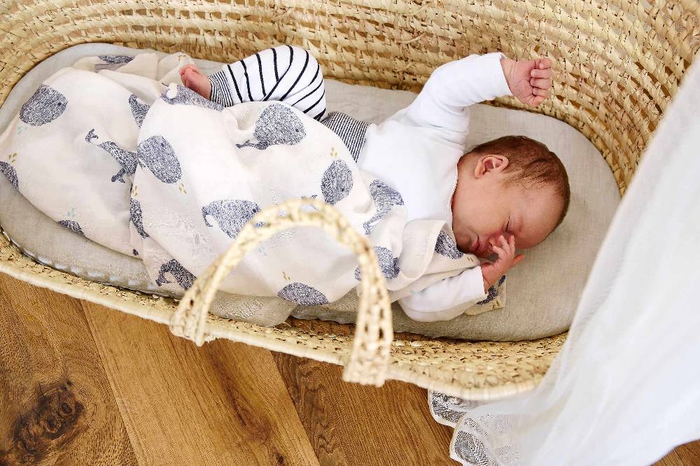 Lässig Mulltücher (3 Stk) - Heavenly Soft Swaddle L, Little Water Whale Kostenloser Versand
