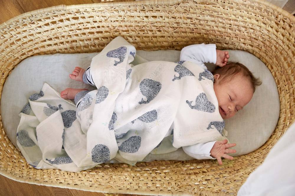Lässig Mulltücher (2 Stk) - Heavenly Soft Swaddle XL, Little Water Whale Tägliche Deals