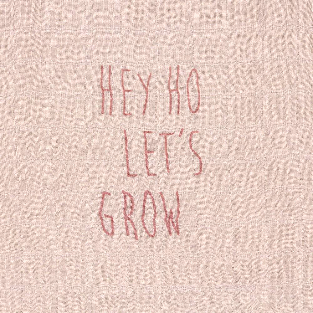 Lässig Mulltücher (3 Stk) - Heavenly Soft Swaddle L, Garden Explorer Schnecke Fabrikpreis