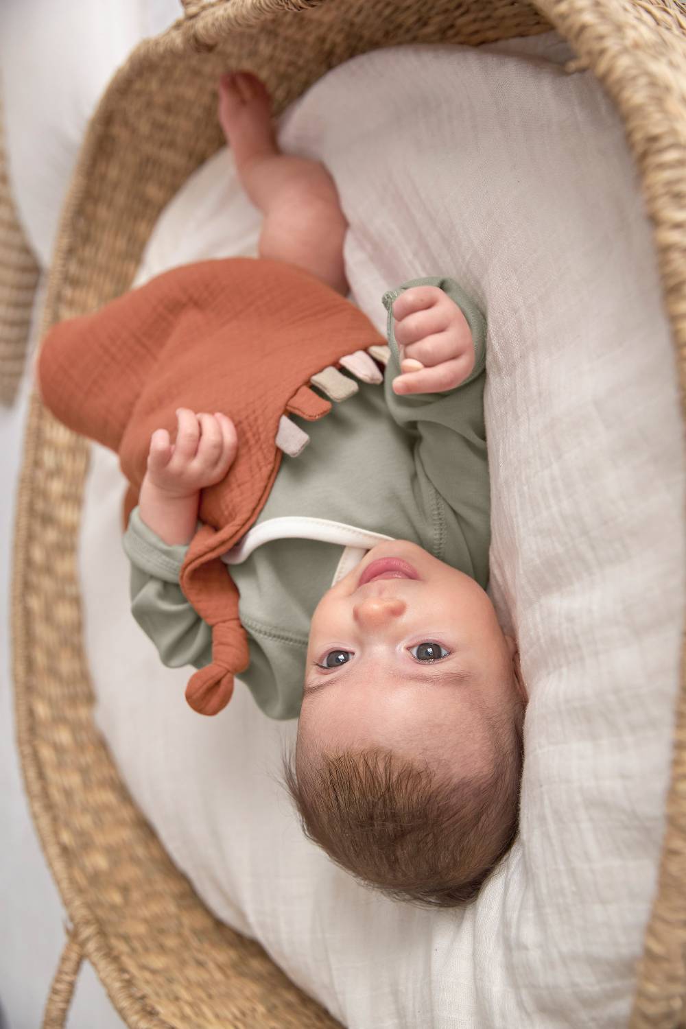 Lässig Baby Wickelbody (2er Set) kurzarm - Bio Baumwolle, Rosa Oliv Fabrikladen