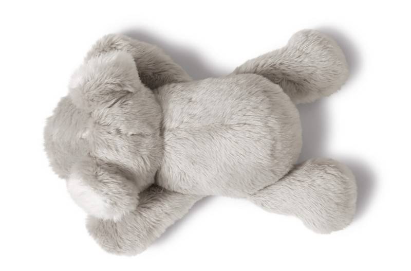 NICI Magnettier Koala Kaola Top Angebot