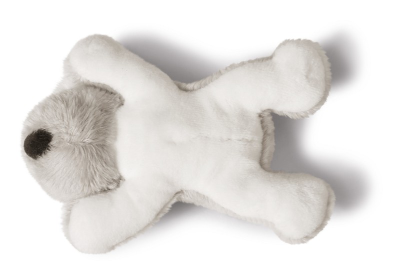 NICI Magnettier Koala Kaola Top Angebot