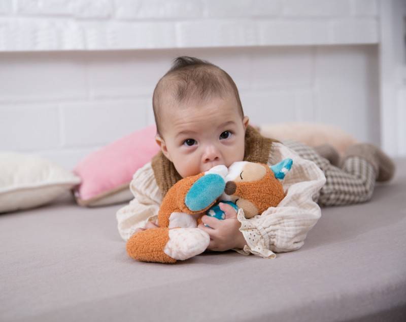 NICI Kuscheltier Gans Gilli Jubiläumsangebot