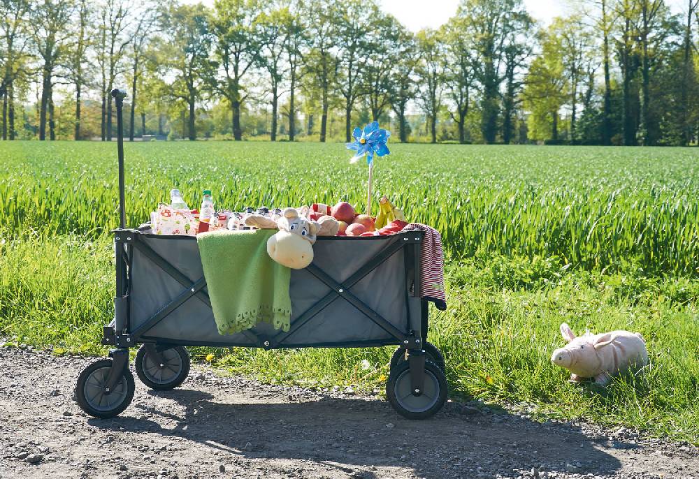 Pinolino Klappbollerwagen 'Porti', grau - Auslaufartikel Begrenztes Angebot