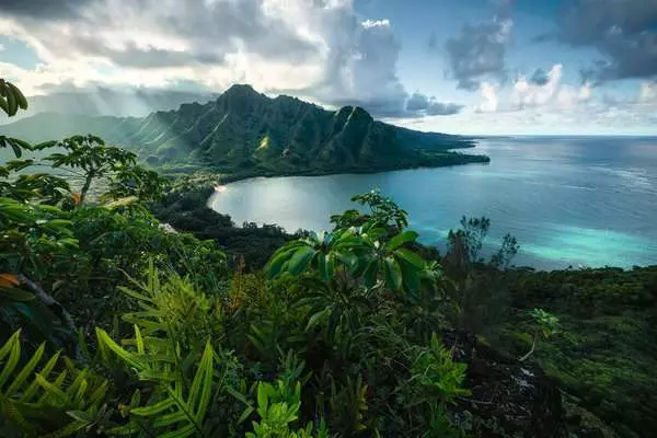 Ravensberger Matratzen Puzzle 5000 Teile - Atemberaubendes Hawaii Discount Store für neue Produkte