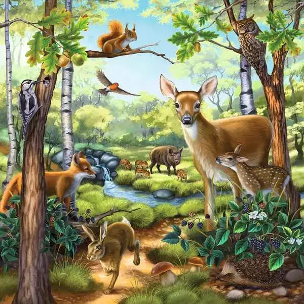 Ravensberger Matratzen Kinderpuzzle ab 5 Jahren - Wald-/Zoo-/Haustiere - 49 Teile Begrenzte Freigabe