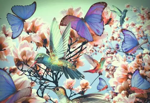 Ravensberger Matratzen Puzzle 300 Teile - Hummingbird Letzter Tag