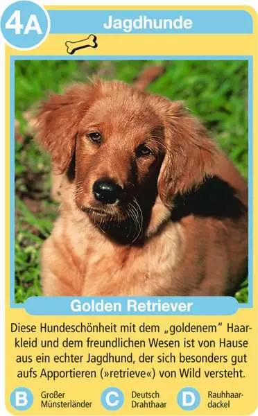 Ravensberger Matratzen Hunde - Kartenspiel ab 4 Jahren Zeitbegrenzte Promotion