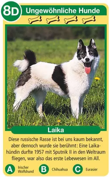 Ravensberger Matratzen Hunde - Kartenspiel ab 4 Jahren Zeitbegrenzte Promotion