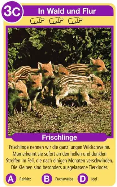 Ravensberger Matratzen Tierkinder - Kartenspiel ab 4 Jahren Versandkostenfrei