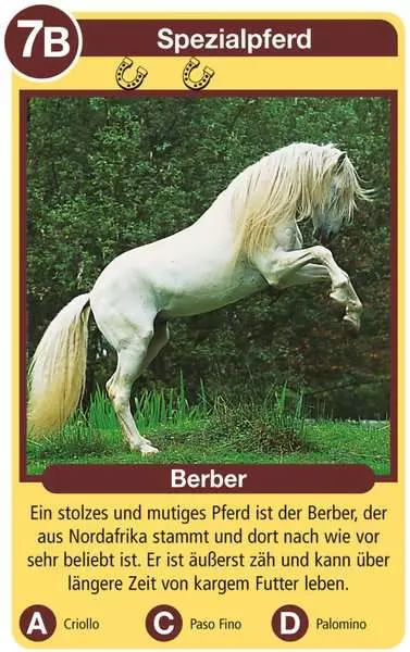 Ravensberger Matratzen Pferde - Kartenspiel ab 4 Jahren Begrenztes Angebot
