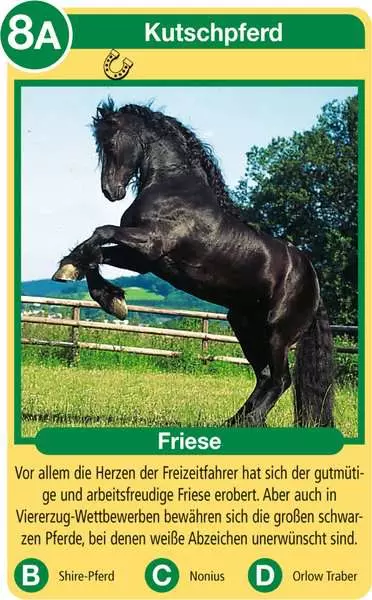 Ravensberger Matratzen Pferde - Kartenspiel ab 4 Jahren Begrenztes Angebot