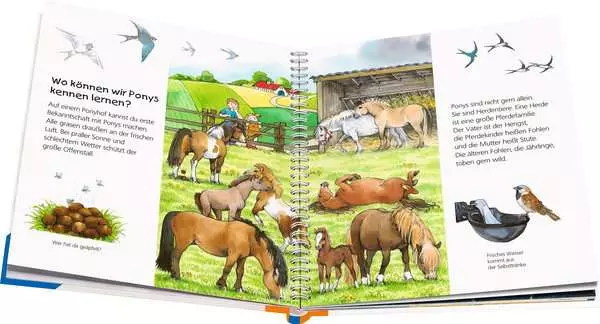 Ravensberger Matratzen Ravensburger Wieso? Weshalb? Warum? junior, Band 20: Das Pony Bis zu 55% Rabatt