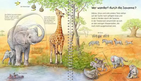 Ravensberger Matratzen Ravensburger Wieso? Weshalb? Warum? Mein junior-Lexikon: Tiere Versandkostenfrei