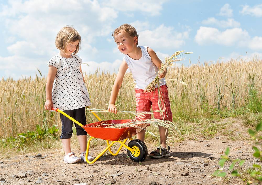 Rolly Toys rollyMetallschubkarre Online Outlet