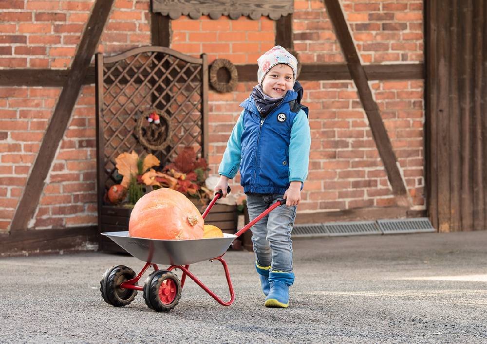 Rolly Toys rollyMetallschubkarre Wochenangebot