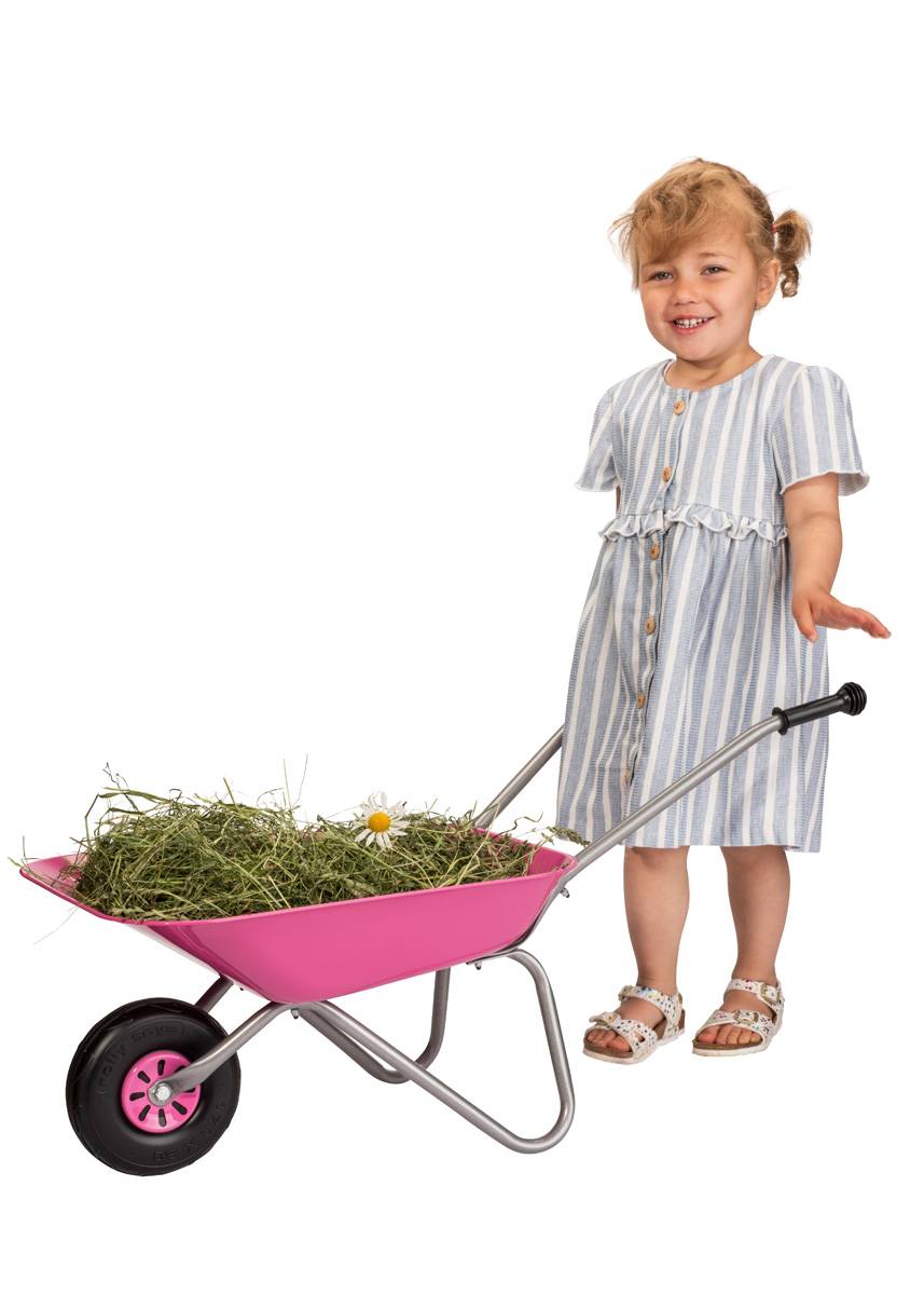 Rolly Toys rollyMetallschubkarre Riesige Ersparnisse