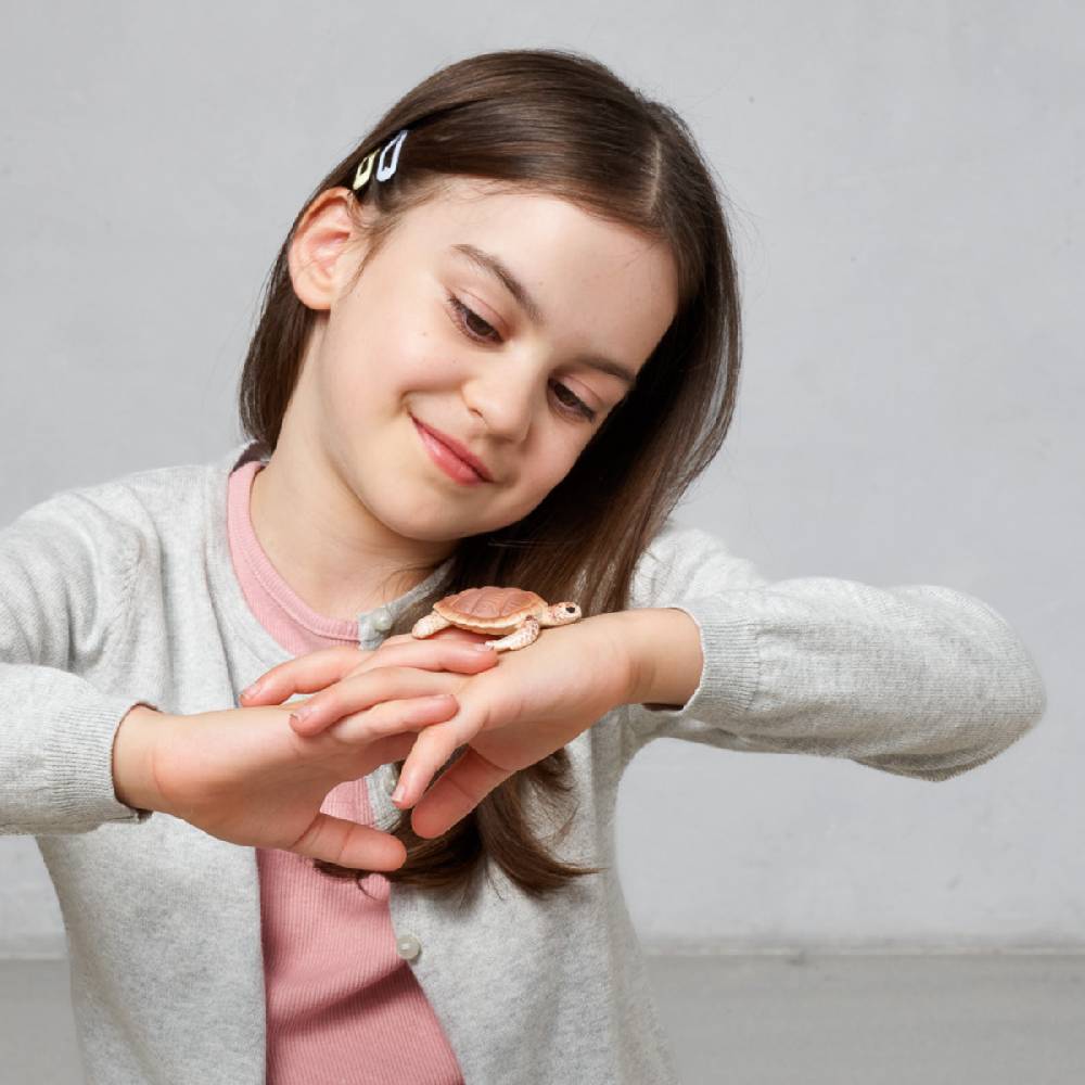 Schleich Echte Karettschildkröte (circular) Rabatte dieses Monats