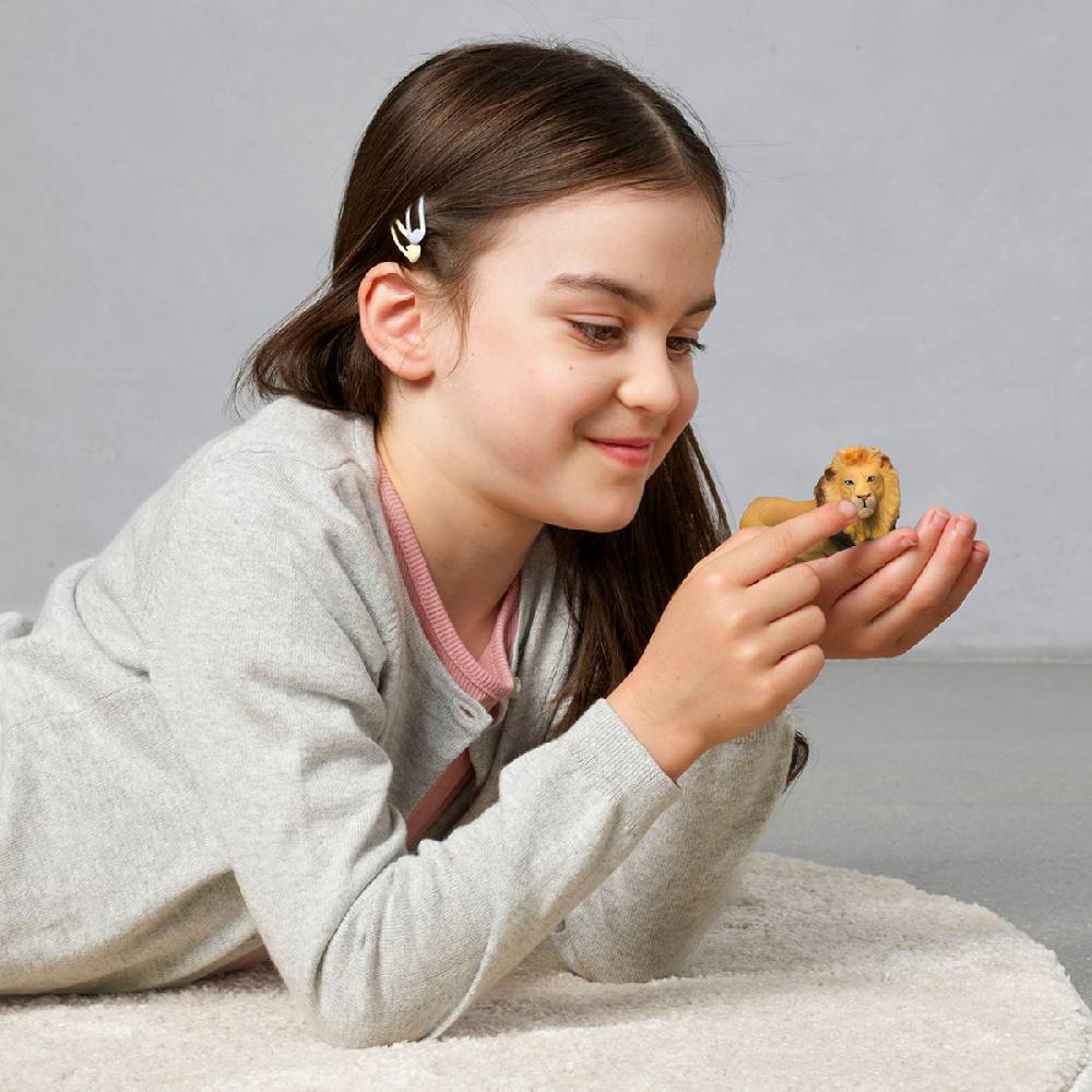 Schleich Löwe (circular) 2025