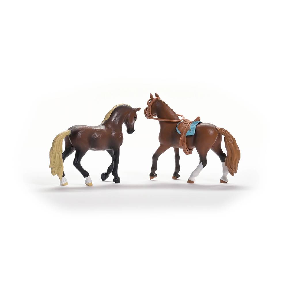 Schleich HORSE CLUB Paso Peruano Starter-Set Flash Sale