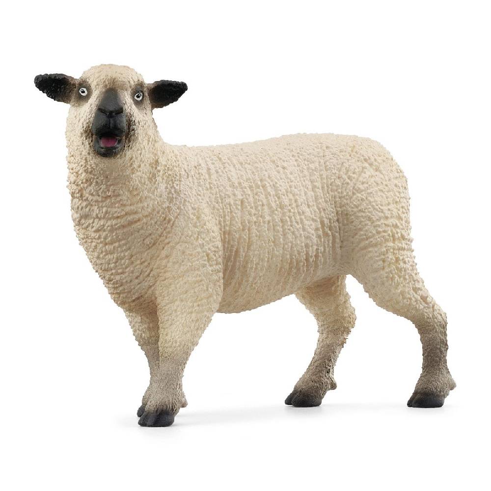 Schleich Schaffreunde Discount Store für neue Produkte