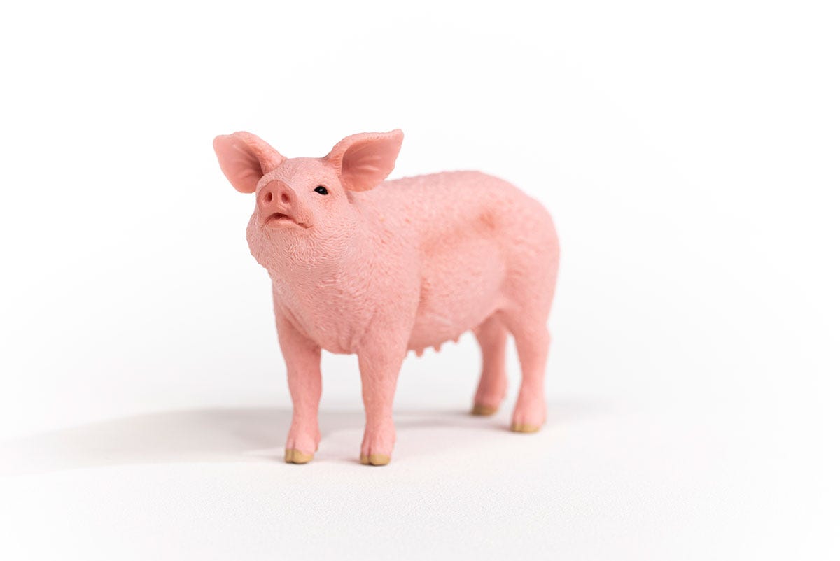 Schleich Schwein Nur noch ein Tag übrig