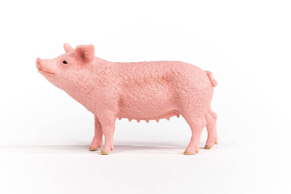 Schleich Schwein Nur noch ein Tag übrig