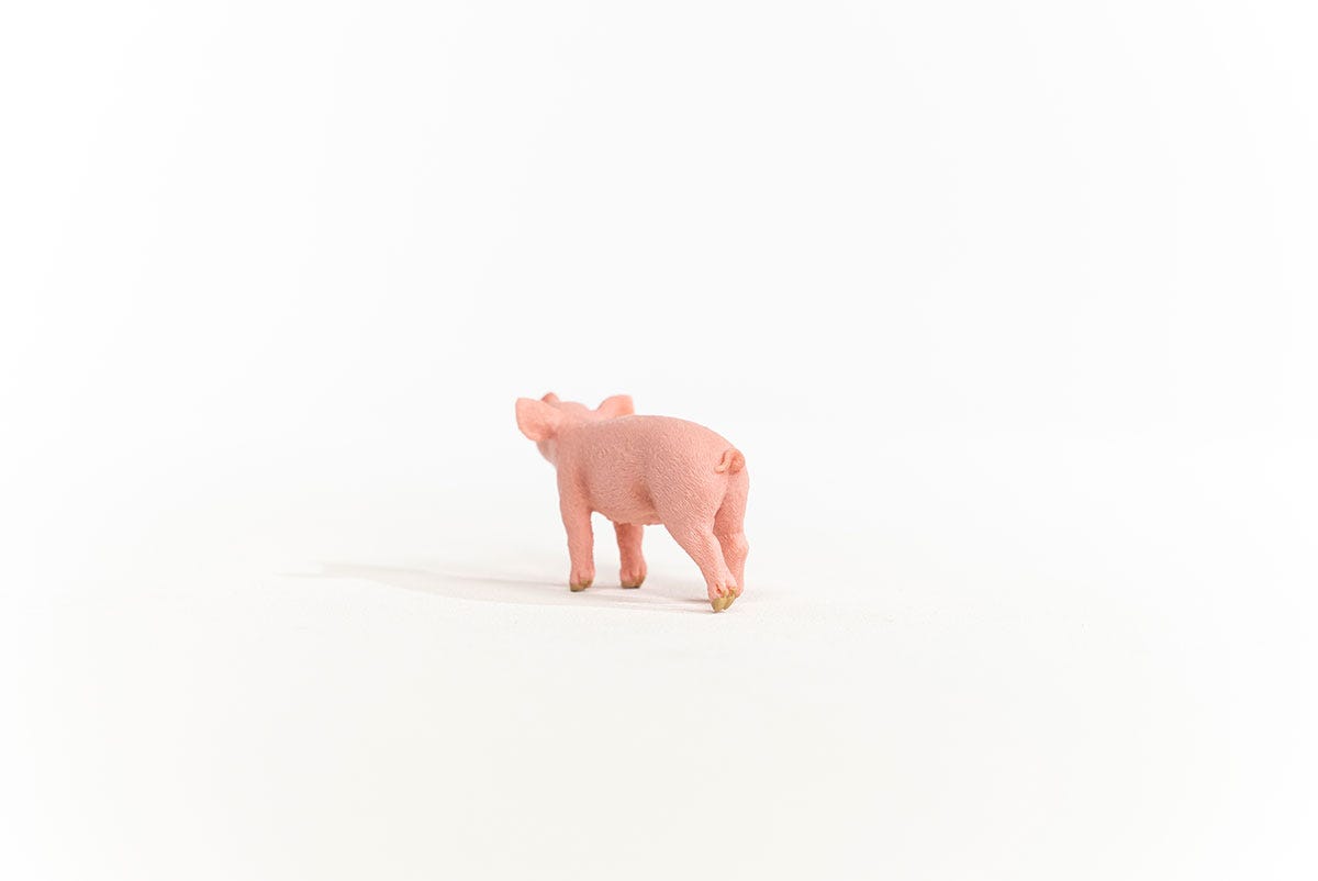 Schleich Ferkel Kostenloser Versand international