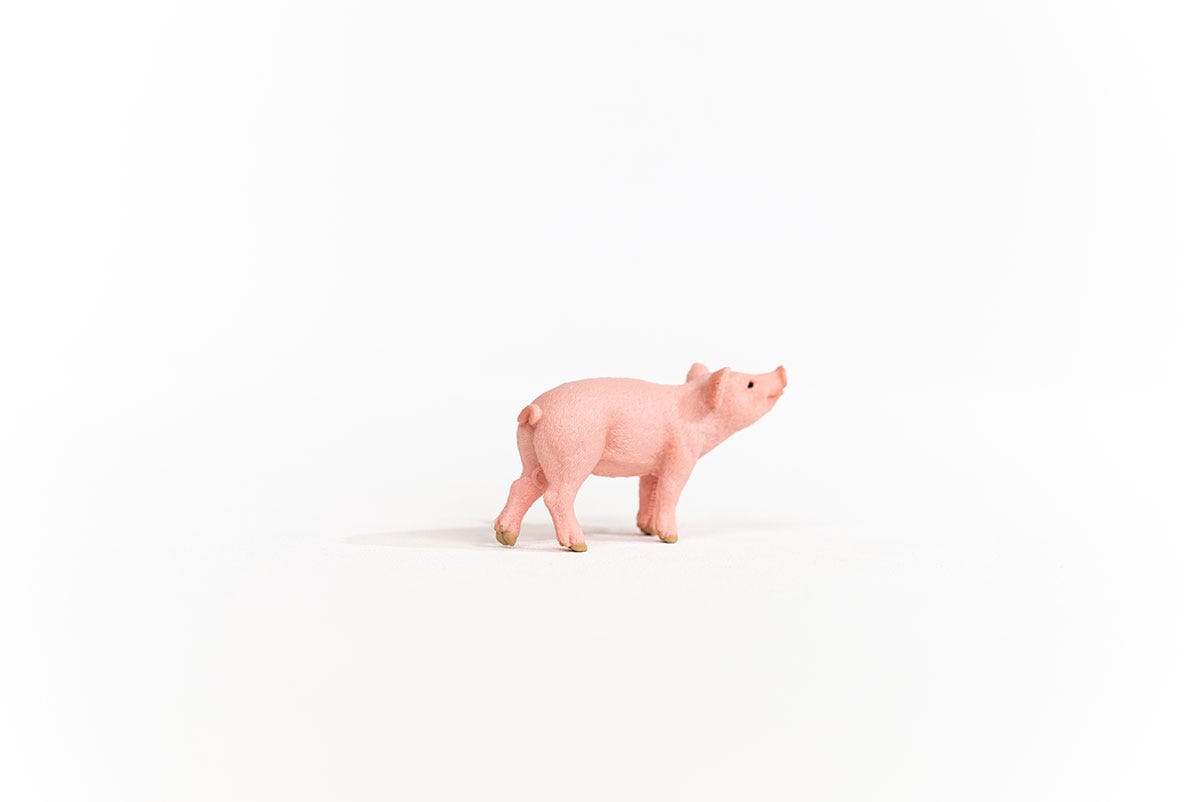 Schleich Ferkel Kostenloser Versand international