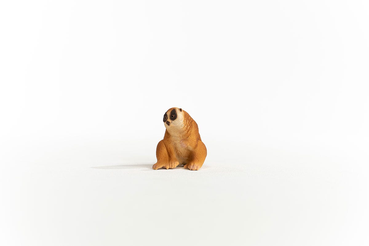 Schleich Plumplori Tägliche Deals