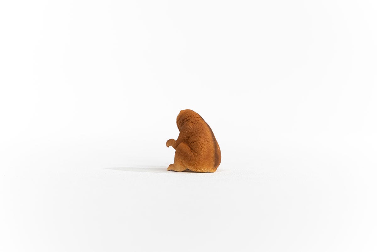 Schleich Plumplori Tägliche Deals