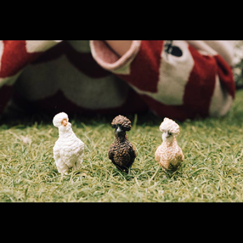 Schleich Hühnerfreunde Zeitbegrenzte Promotion