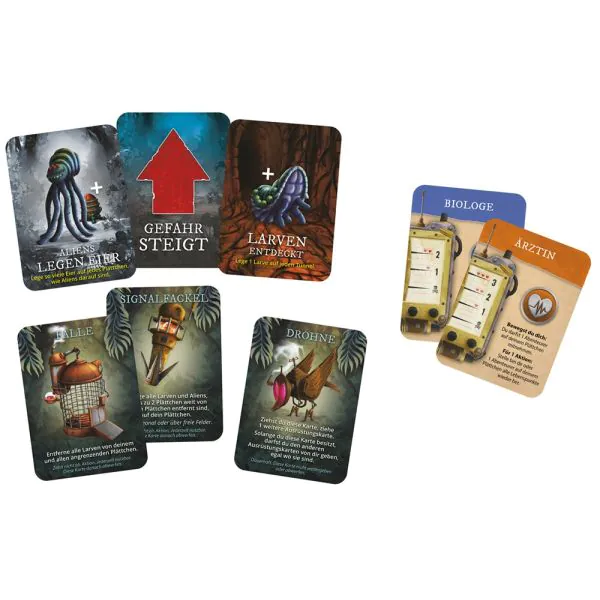 Schmidt Spiele Forbidden Jungle™, Familienspiel Super Rabatt