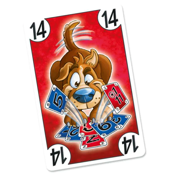 Schmidt Spiele DOG® Cards Vierteljährliche Förderung