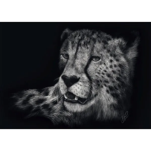 Schmidt Spiele Ashley Rader: Speed - Gepard, im Zeichen der Anmut, 1.000 Teile Puzzle Bis zu 55% Rabatt