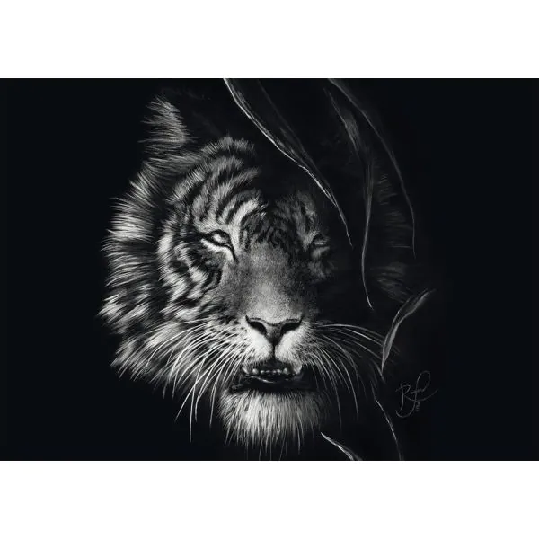 Schmidt Spiele Ashley Rader: Wilderness – Tiger, Im Zeichen der Freiheit, 1.000 Teile Puzzle Discount Store für neue Produkte
