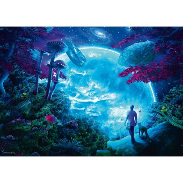 Schmidt Spiele Cameron Gray: Himmelsfantasie, 1.000 Teile Puzzle Meist gekauft