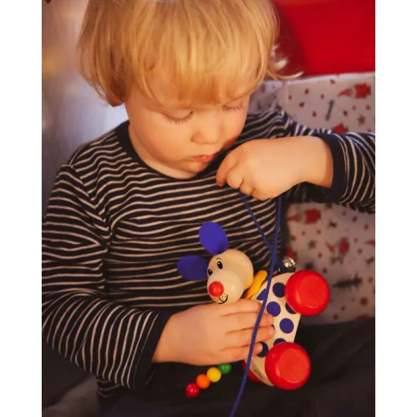 Schmidt Spiele Nico-Nachzieh-Hund, Schiebe-und Nachziehspielzeug aus Holz, 12 cm Verkauf