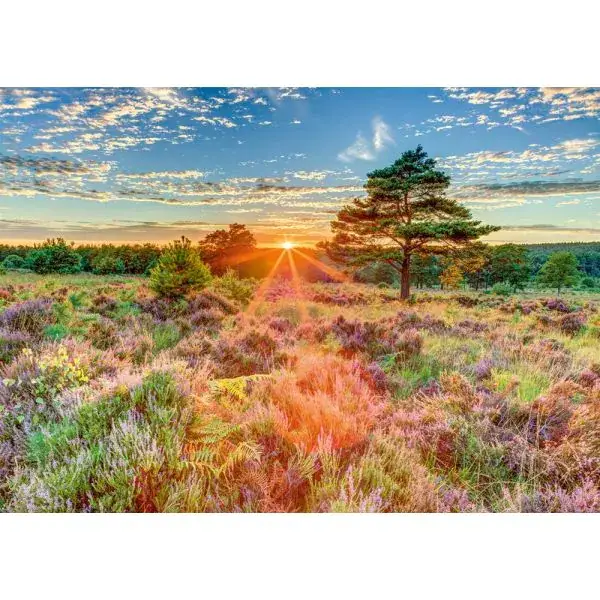 Schmidt Spiele Heide im Sonnenuntergang, 1.000 Teile Puzzle Osterangebot