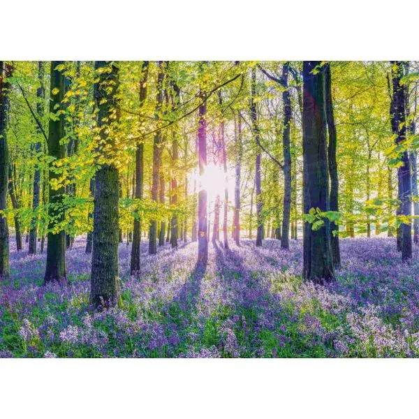 Schmidt Spiele Zarte Glockenblumen im Wald, 1.000 Teile Puzzle Muttertagsangebot
