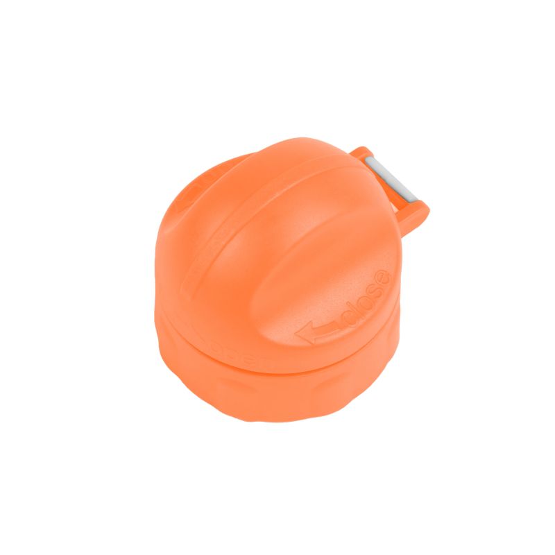 Sigikid Edelstahl Trinkflasche Löwe, Forest Friends Online Outlet