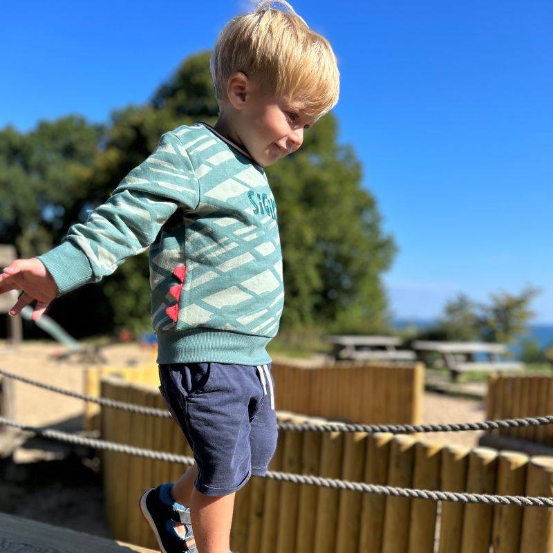 Sigikid Baby Sweatshirt Dino World, grün Top Angebot