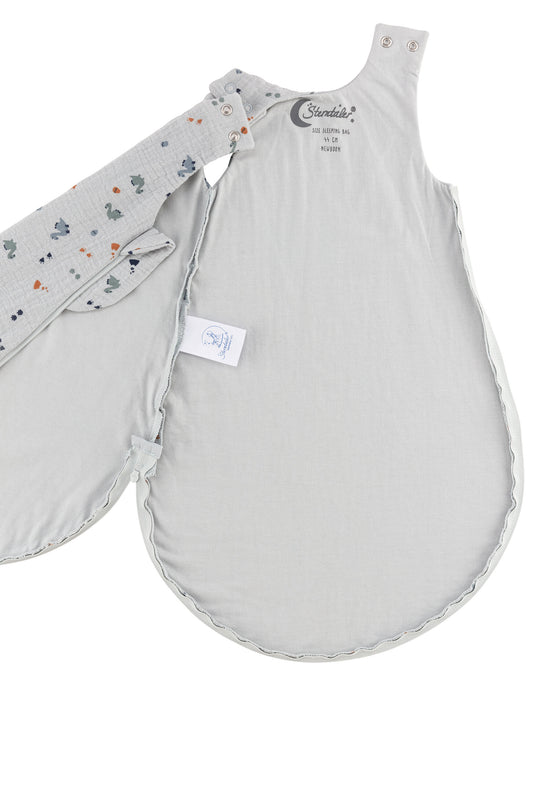 Sterntaler Babyschlafsack 62/68 Motiv Dino Rexi, 0,50 TOG Blitzverkäufe