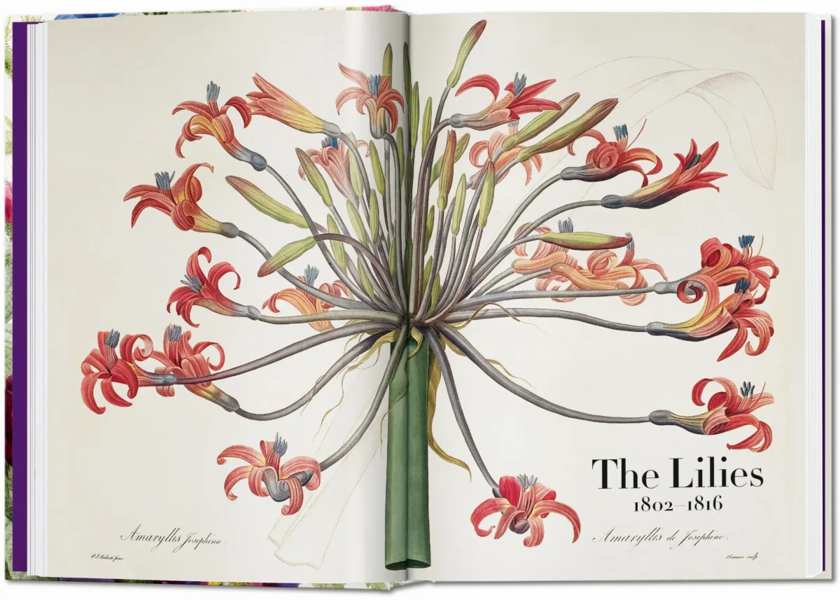 TASCHEN Redouté. The Book of Flowers. 40th Ed Bis zu 65% Rabatt