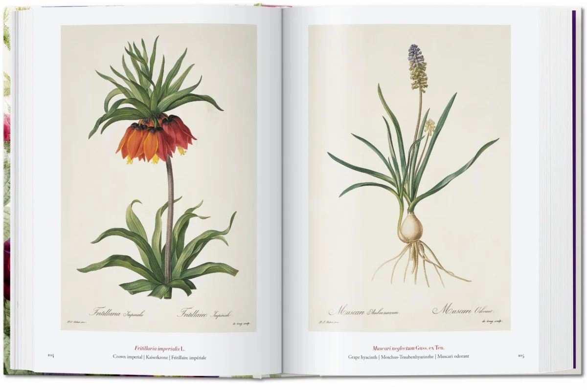 TASCHEN Redouté. The Book of Flowers. 40th Ed Bis zu 65% Rabatt