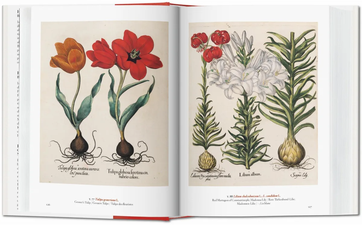 TASCHEN A Garden Eden. Masterpieces of Botanical Illustration. 40th Ed Nur noch ein Tag übrig